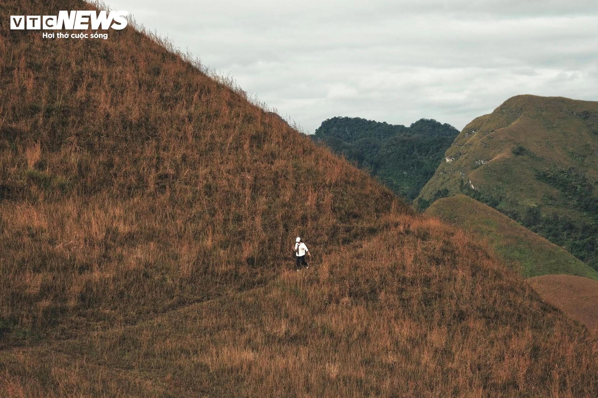 Mùa cỏ cháy phủ vàng đồi Ba Quáng giữa núi rừng Cao Bằng- Ảnh 8. Mùa cỏ cháy phủ vàng đồi Ba Quáng giữa núi rừng Cao Bằng- Ảnh 8.