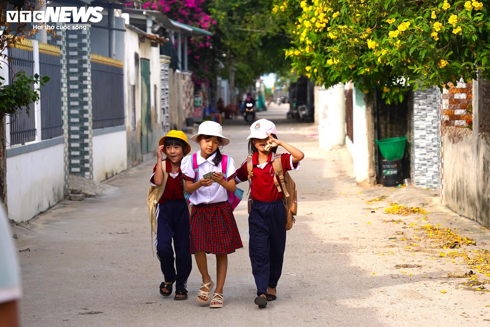 Cận cảnh khu đất ở Khánh Hòa dự kiến làm nhà máy điện hạt nhân- Ảnh 11. Cận cảnh khu đất ở Khánh Hòa dự kiến làm nhà máy điện hạt nhân- Ảnh 11.