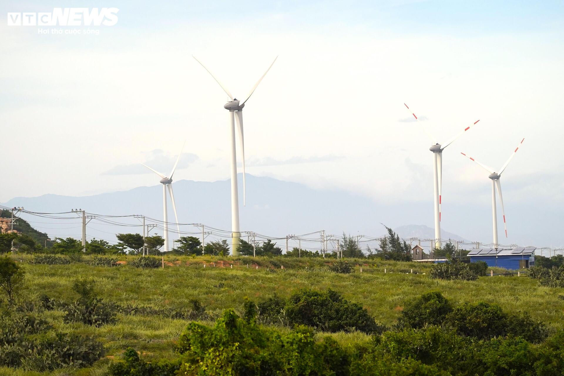 Cận cảnh khu đất ở Khánh Hòa dự kiến làm nhà máy điện hạt nhân- Ảnh 3. Cận cảnh khu đất ở Khánh Hòa dự kiến làm nhà máy điện hạt nhân- Ảnh 3.