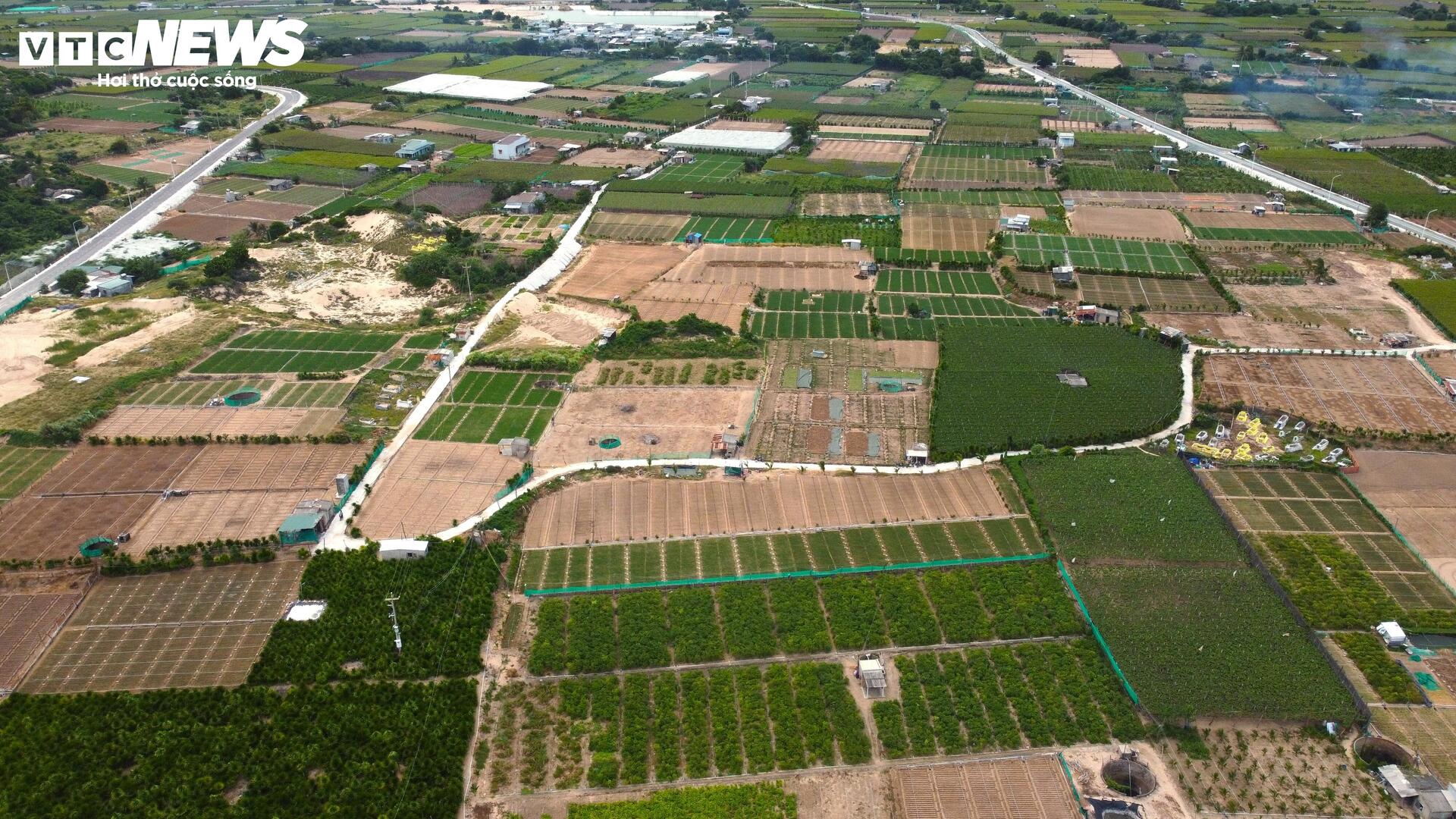 Cận cảnh khu đất ở Khánh Hòa dự kiến làm nhà máy điện hạt nhân- Ảnh 4. Cận cảnh khu đất ở Khánh Hòa dự kiến làm nhà máy điện hạt nhân- Ảnh 4.