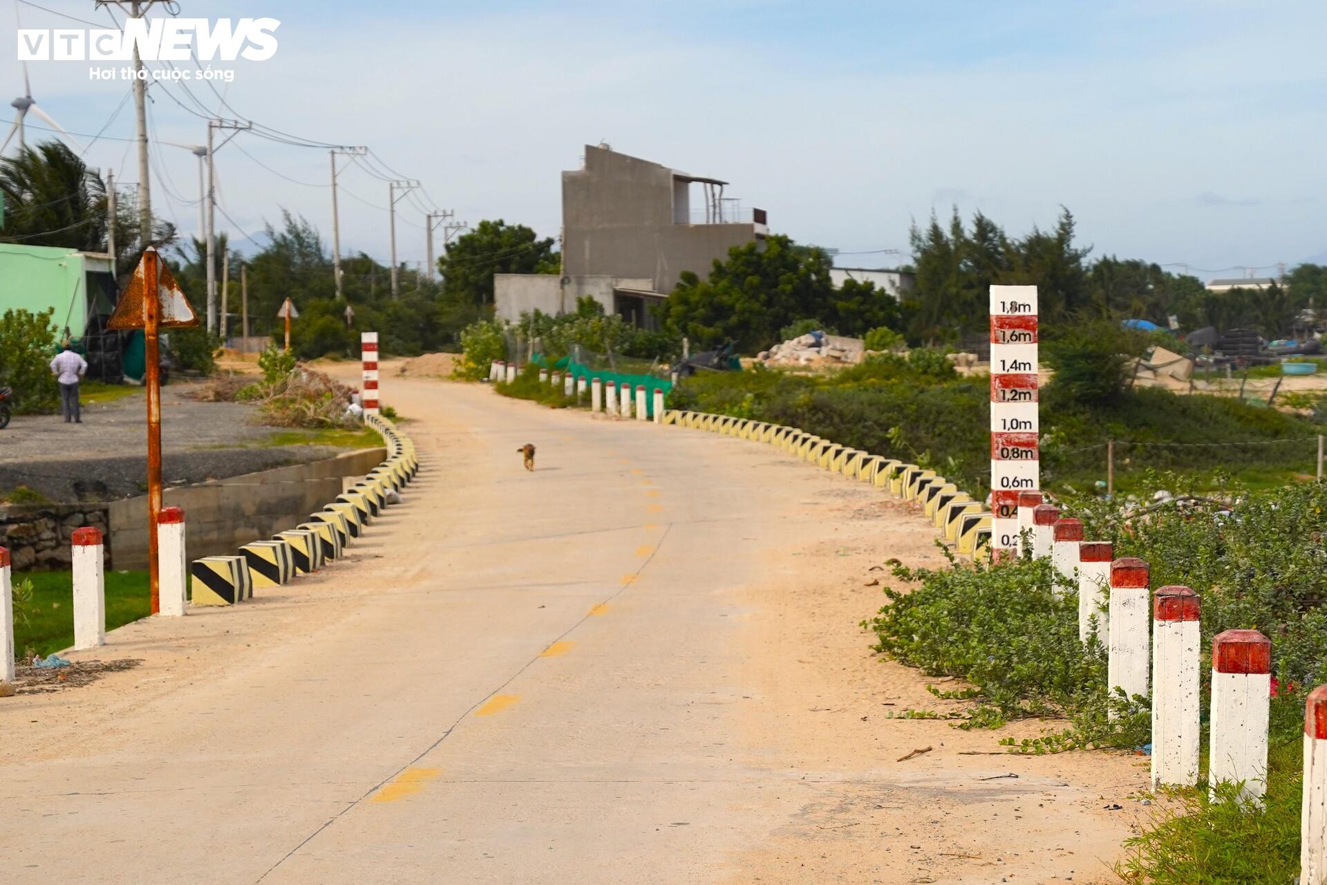 Cận cảnh khu đất ở Khánh Hòa dự kiến làm nhà máy điện hạt nhân- Ảnh 6. Cận cảnh khu đất ở Khánh Hòa dự kiến làm nhà máy điện hạt nhân- Ảnh 6.