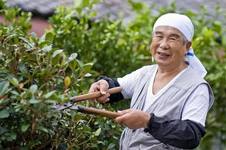 Dù ít vận động, người Nhật vẫn có tuổi thọ cao và tỷ lệ ung thư thấp: Hóa ra có 7 lý do đằng sau- Ảnh 1. Dù ít vận động, người Nhật vẫn có tuổi thọ cao và tỷ lệ ung thư thấp: Hóa ra có 7 lý do đằng sau- Ảnh 1.