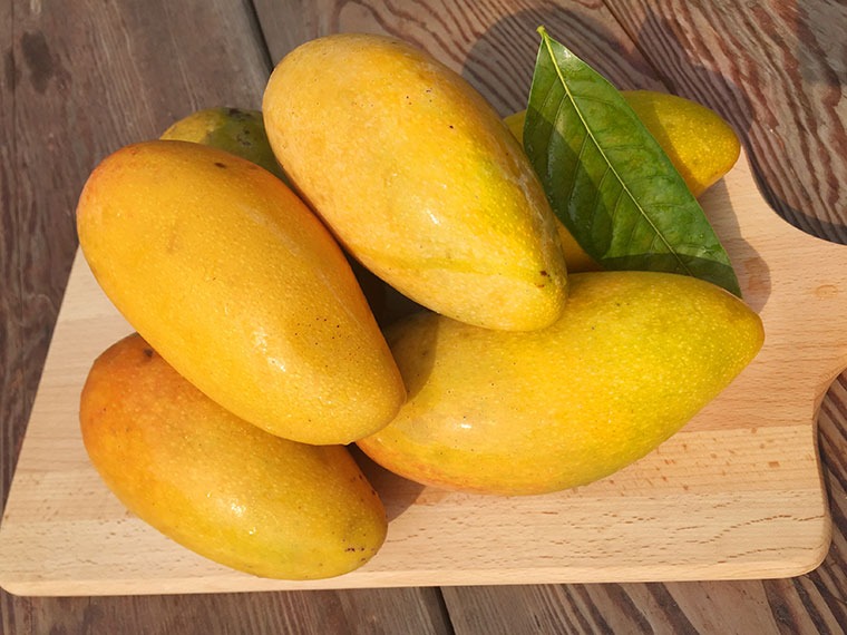 4 dấu hiệu nhận biết xoài chín ngọt tự nhiên, thịt dày, hạt lép- Ảnh 1.