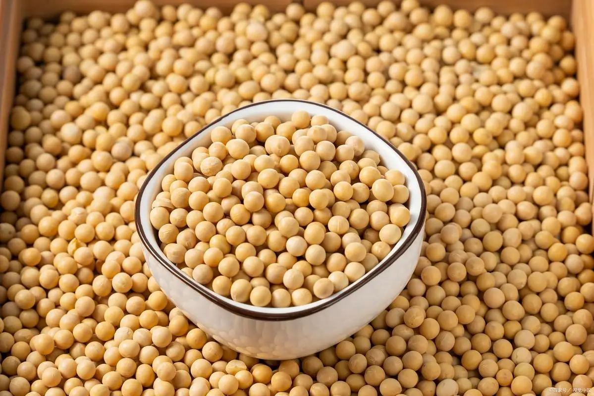 Trong cuộc sống hàng ngày, có 4 loại thực phẩm nảy mầm không những không "độc" mà còn tốt hơn - có khi bạn đã từng vứt bỏ chúng- Ảnh 4.