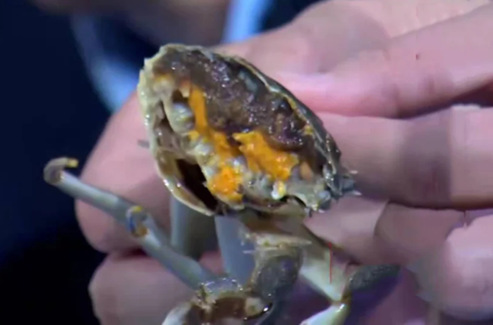 4 loại thịt dễ “ôm ổ ký sinh trùng”, dân buôn cũng ngại ăn- Ảnh 2.