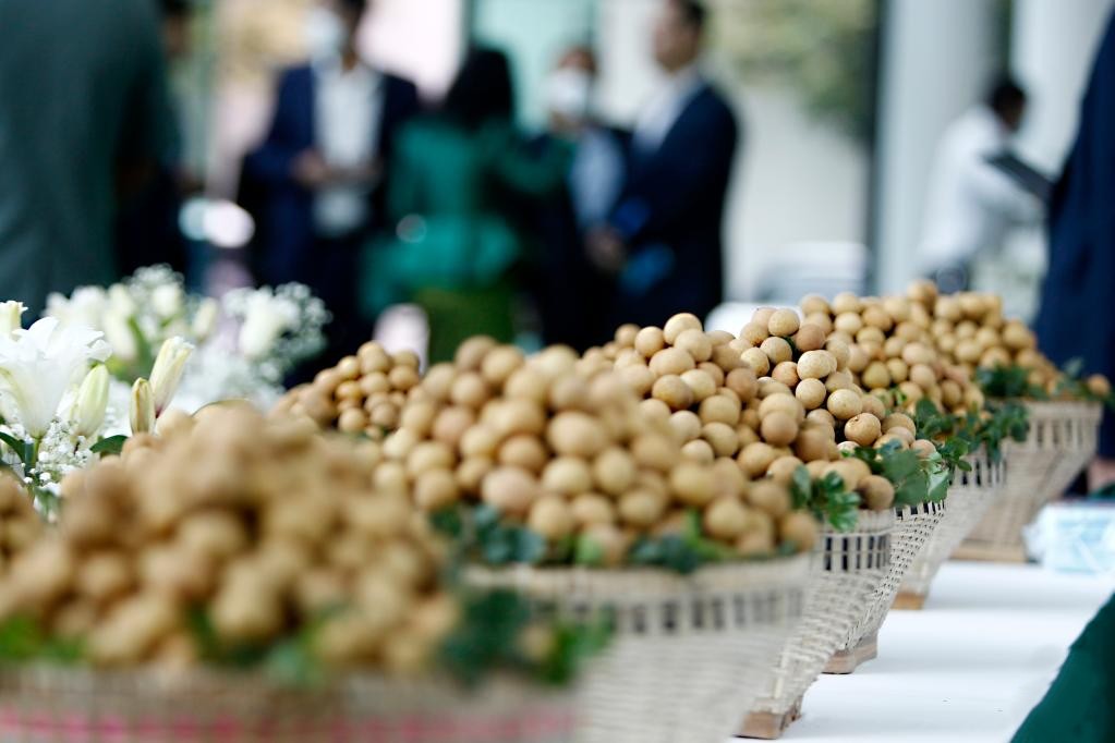 Đặc sản triệu đô của Việt Nam được Trung Quốc siêu mê, mệnh danh là 'vương giả chi quả', diện tích trồng hơn 68.000 ha- Ảnh 1. Đặc sản triệu đô của Việt Nam được Trung Quốc siêu mê, mệnh danh là