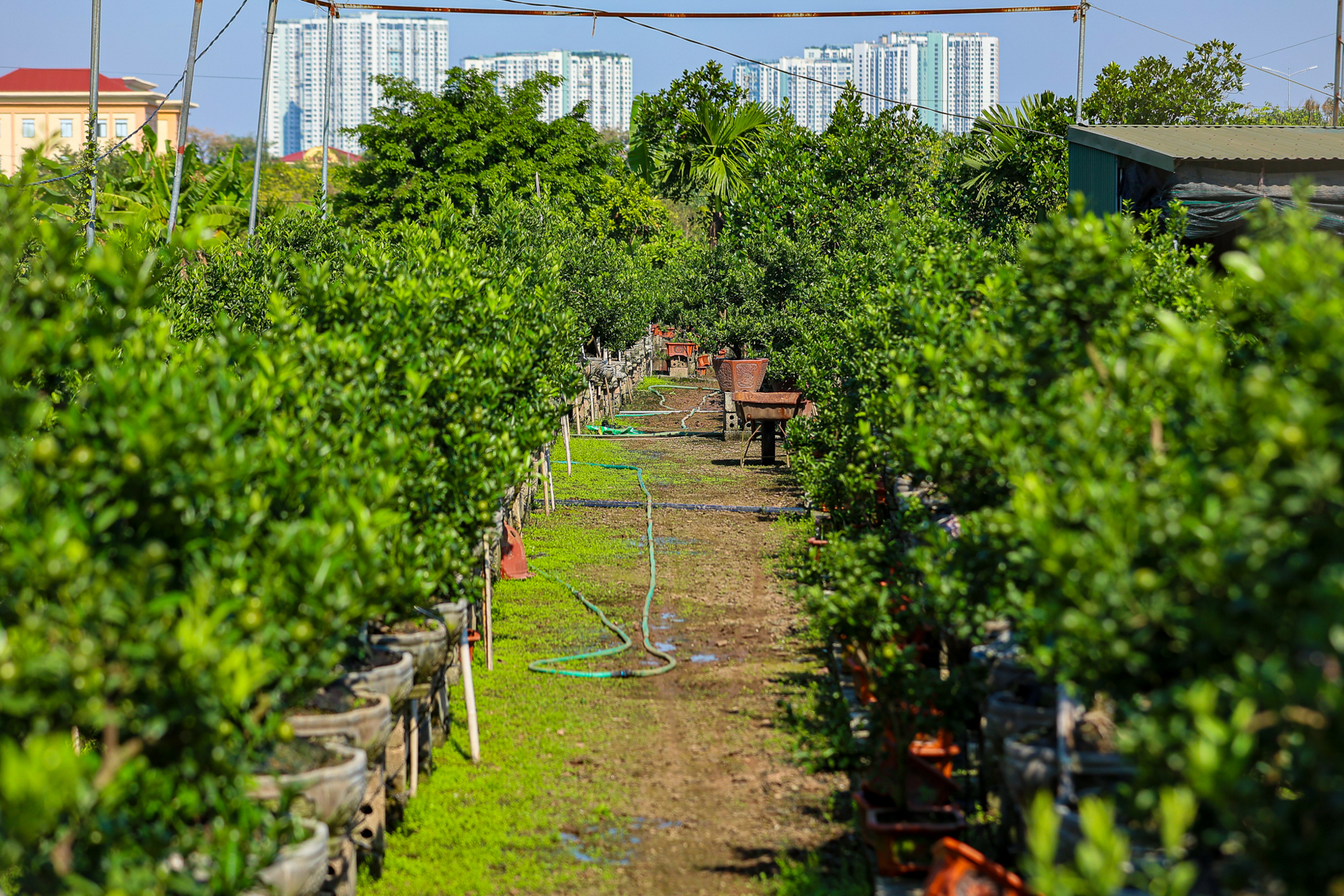 Toàn cảnh khu vực sắp xây sân vận động lớn nhất Việt Nam tại Hưng Yên: Sức chứa gấp rưỡi sân Mỹ Đình, do Vinhomes xây dựng- Ảnh 8.