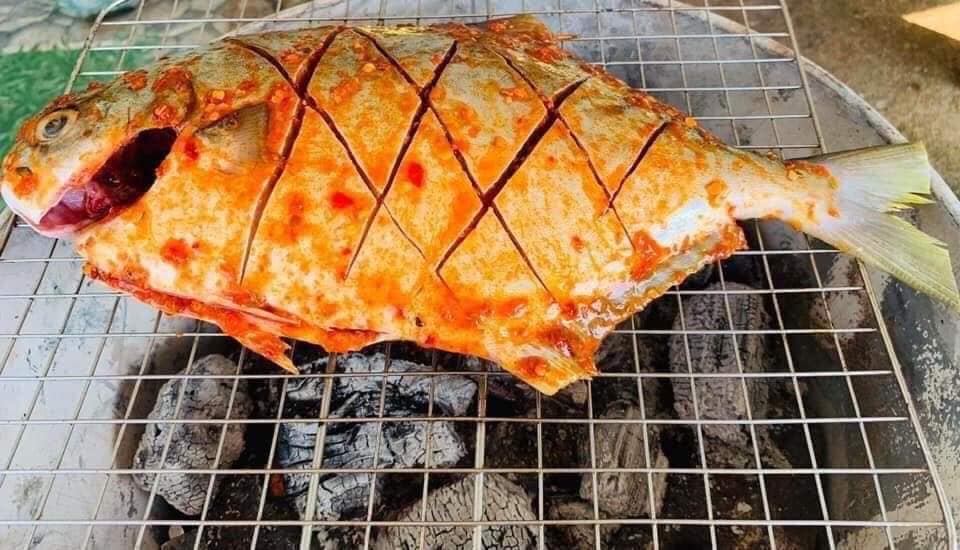 Loại cá "quý tộc” ngon nhất biển cả, giàu đạm gấp đôi trứng gà, ít chất béo xấu: Nấu cực đơn giản vẫn ngon tròn vị- Ảnh 2.