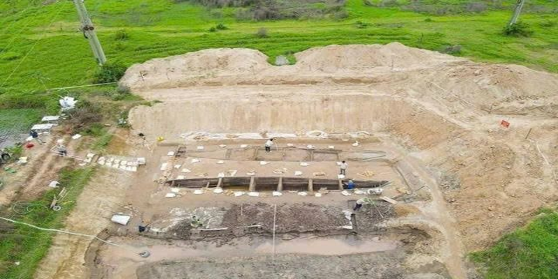 Cải tạo đất để nuôi cá, người dân Việt Nam phát hiện vật dài 17m màu vàng lạ, chuyên gia xác nhận báu vật 2.000 năm tuổi hiếm có trên thế giới- Ảnh 1.