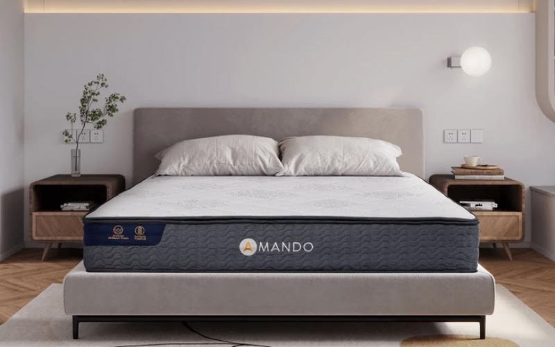 5 thương hiệu nệm lò xo được yêu thích tại Việt Nam- Ảnh 1. 5 thương hiệu nệm lò xo được yêu thích tại Việt Nam- Ảnh 1.