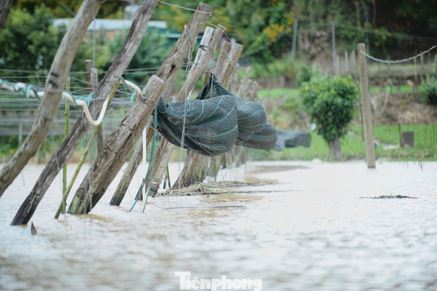 Xót xa cảnh tan hoang sau mưa lũ ở Lâm Đồng, nhiều hộ chỉ còn trơ lại nền nhà- Ảnh 13.