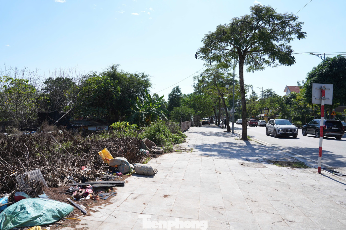 Hiện trạng khu đất làm công viên, quảng trường nhạc nước gần 100ha ở Hà Nội- Ảnh 8.