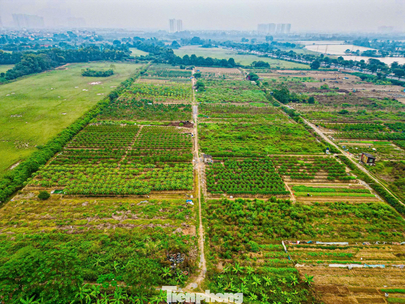 Hiện trạng khu đất làm công viên, quảng trường nhạc nước gần 100ha ở Hà Nội- Ảnh 3.