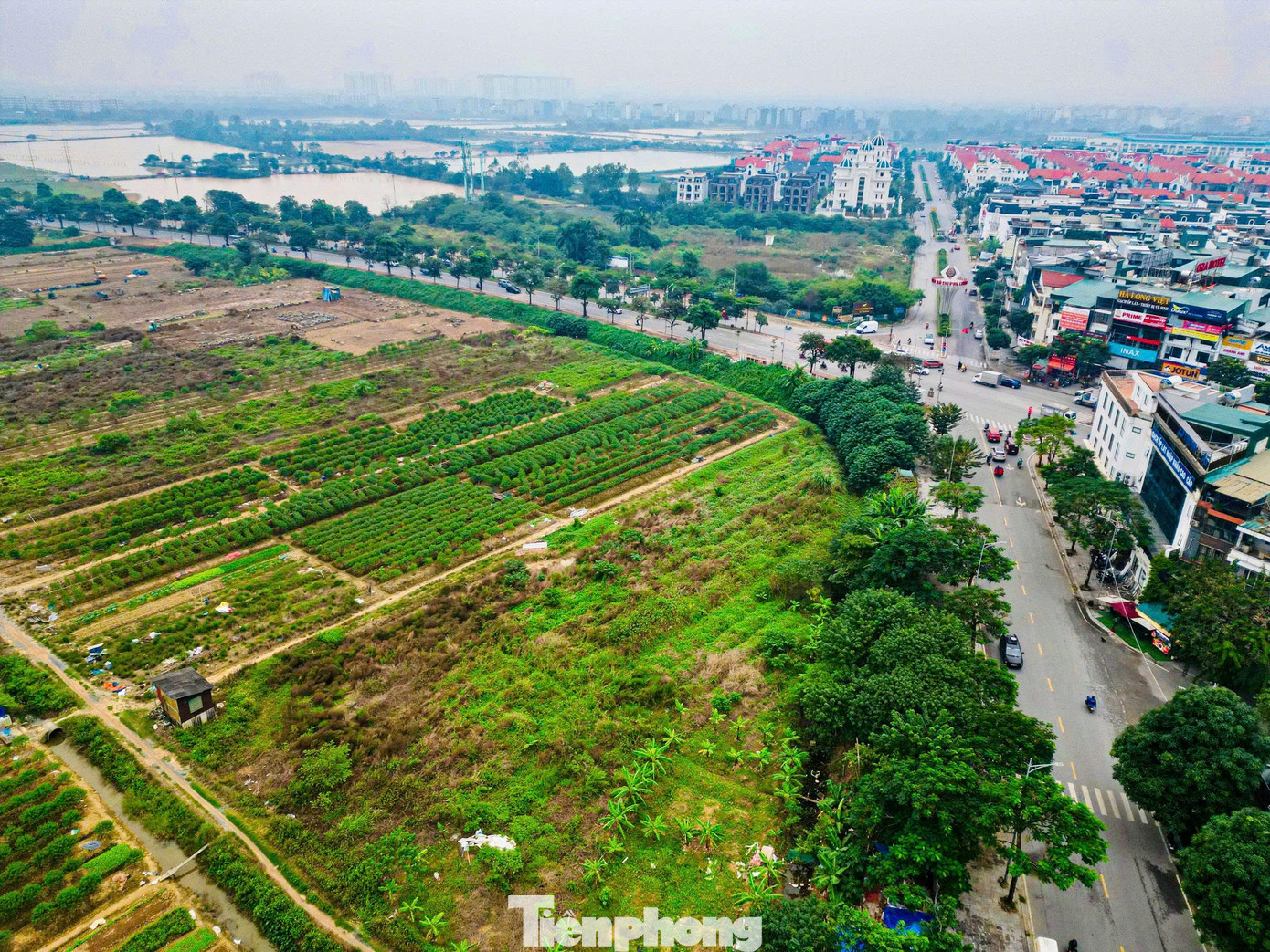 Hiện trạng khu đất làm công viên, quảng trường nhạc nước gần 100ha ở Hà Nội- Ảnh 11.