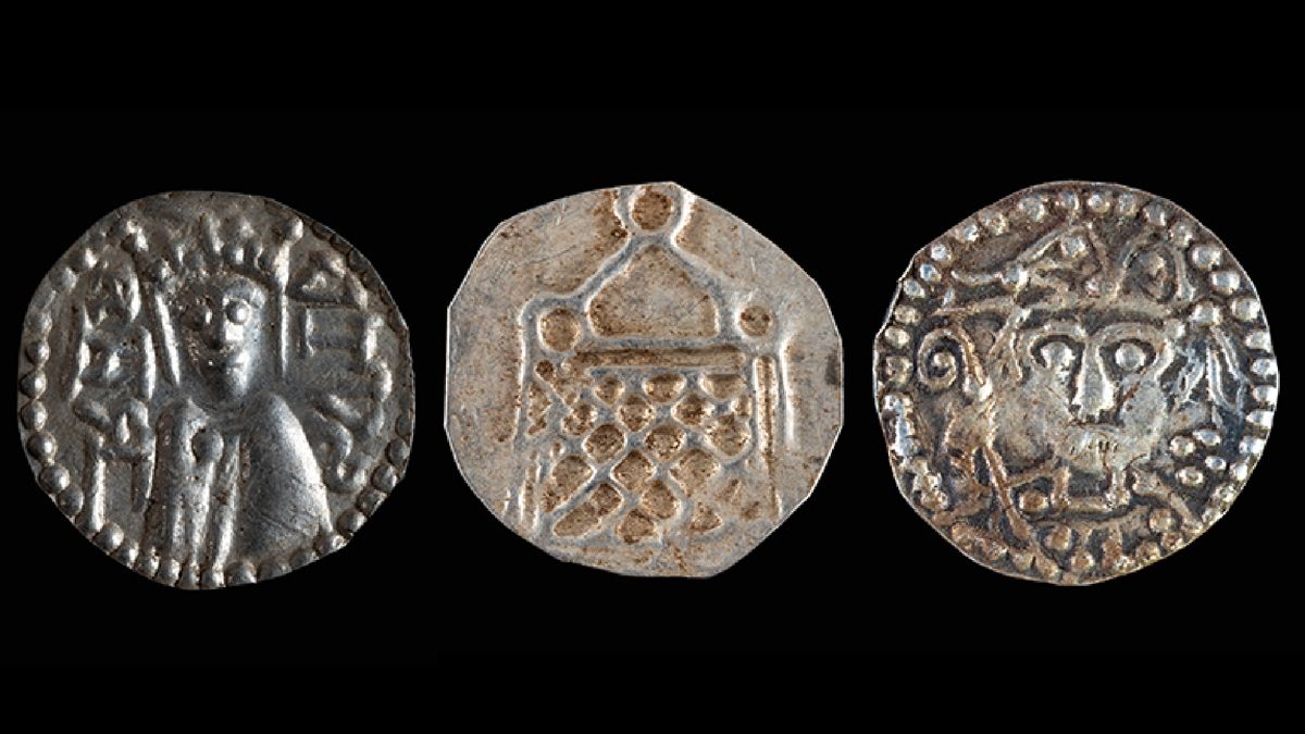 Đi đào giun, người đàn ông phát hiện kho báu vô giá nặng 6kg- Ảnh 3.