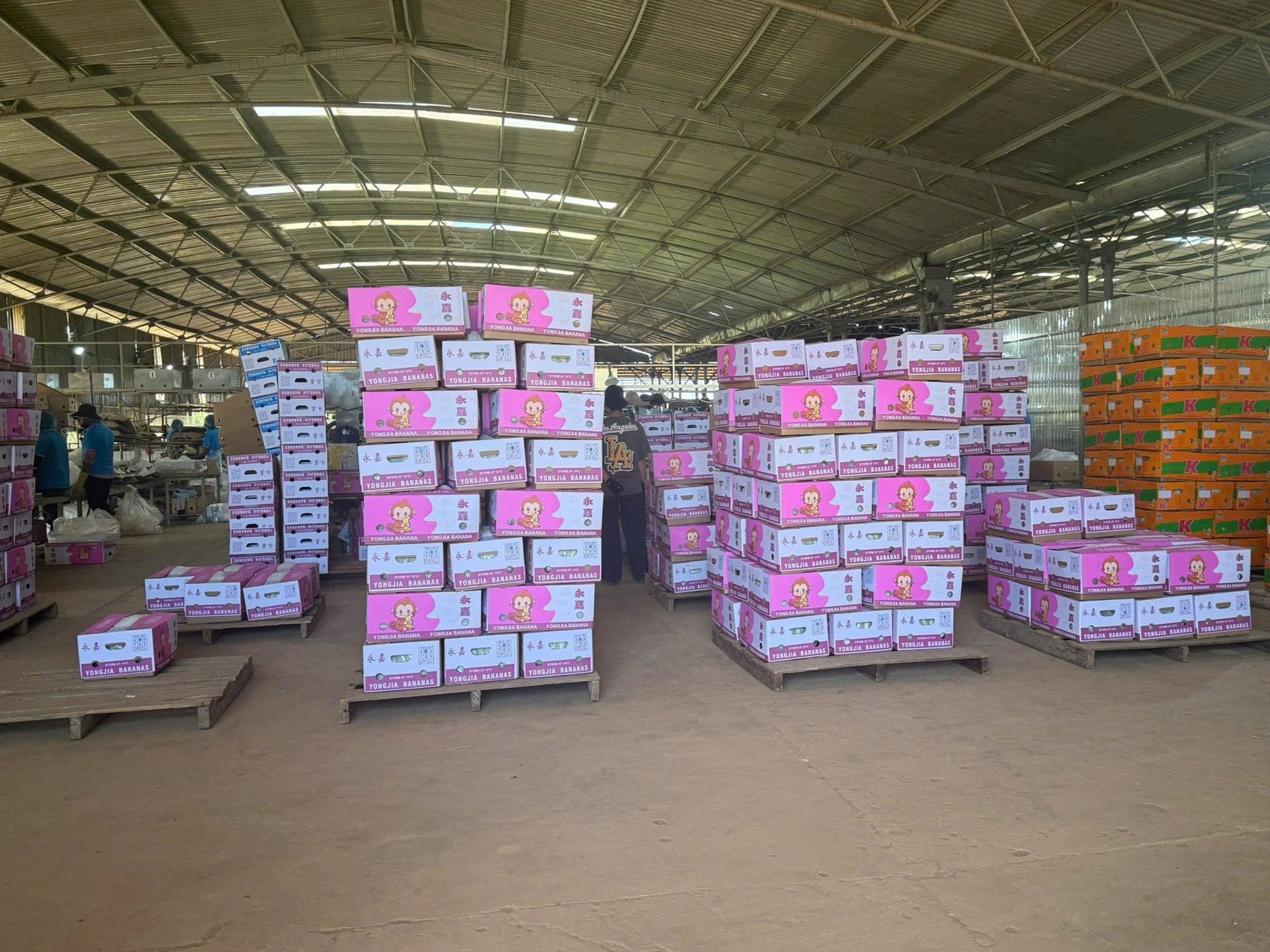 9 tháng mới lãi 1.300 tỷ, vì sao bầu Đức tuyên bố HAGL cả năm lãi 2.800 tỷ cao nhất lịch sử?- Ảnh 4.