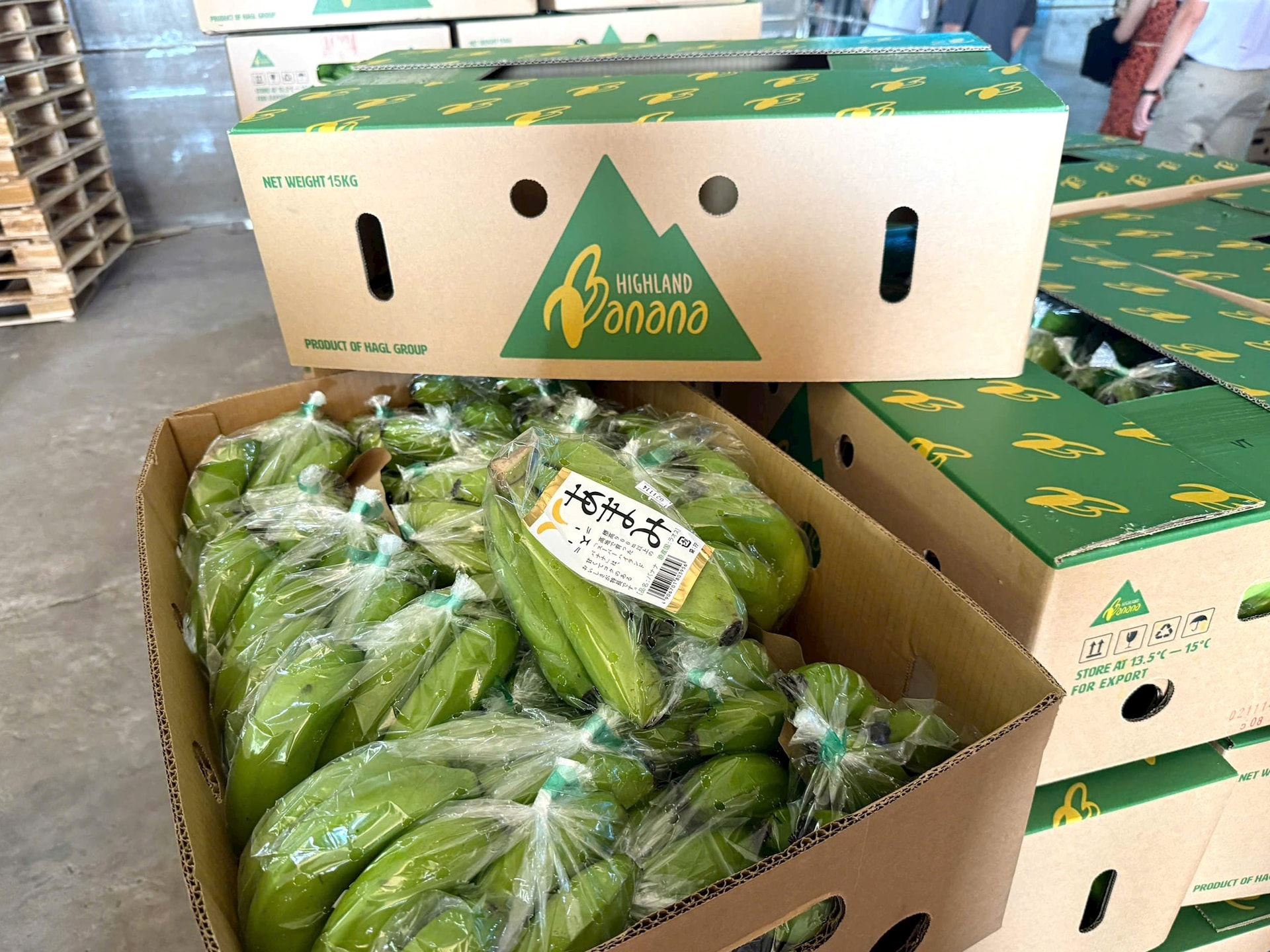 9 tháng mới lãi 1.300 tỷ, vì sao bầu Đức tuyên bố HAGL cả năm lãi 2.800 tỷ cao nhất lịch sử?- Ảnh 5.