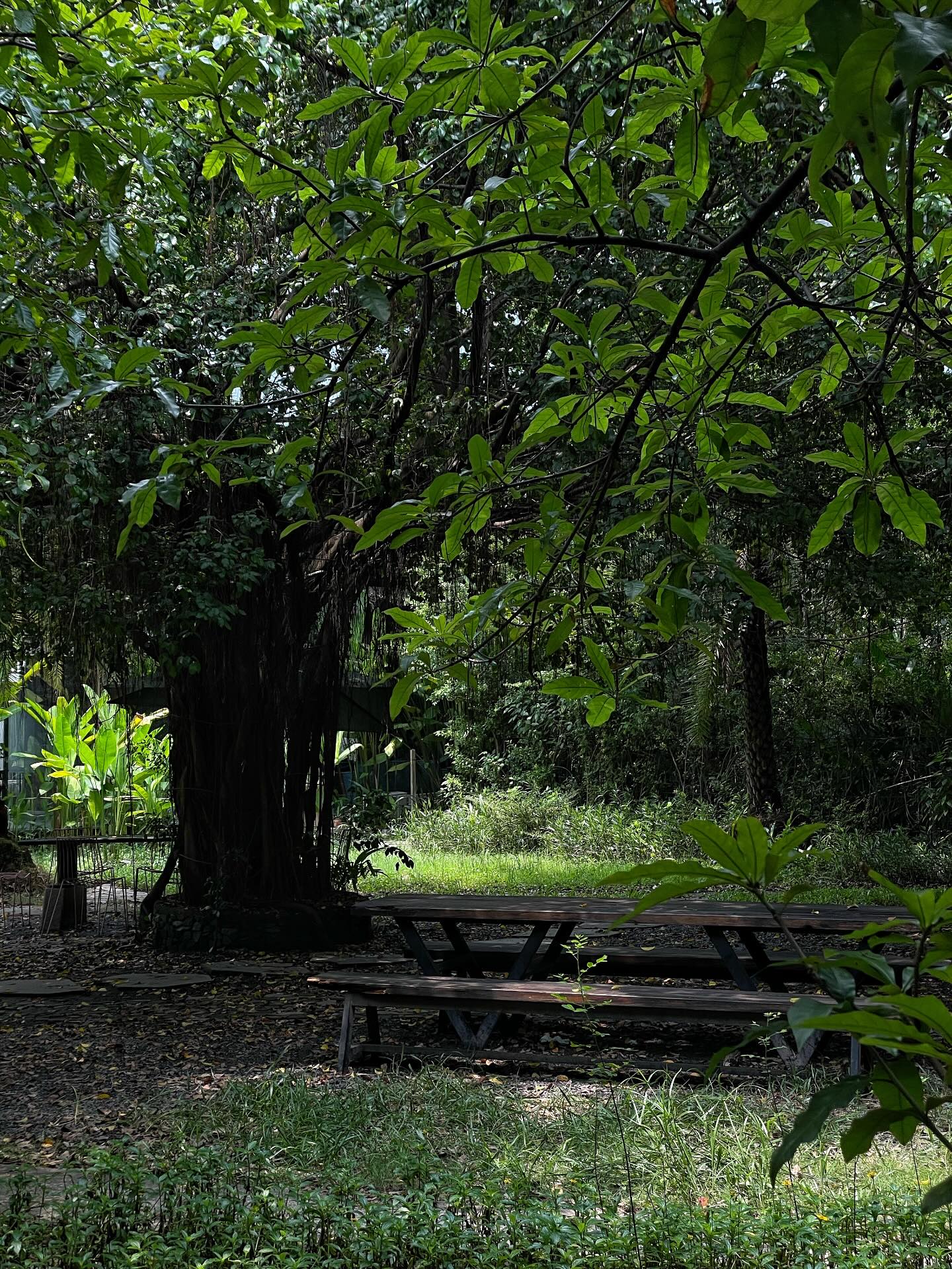 1.000 người chen chúc trong 