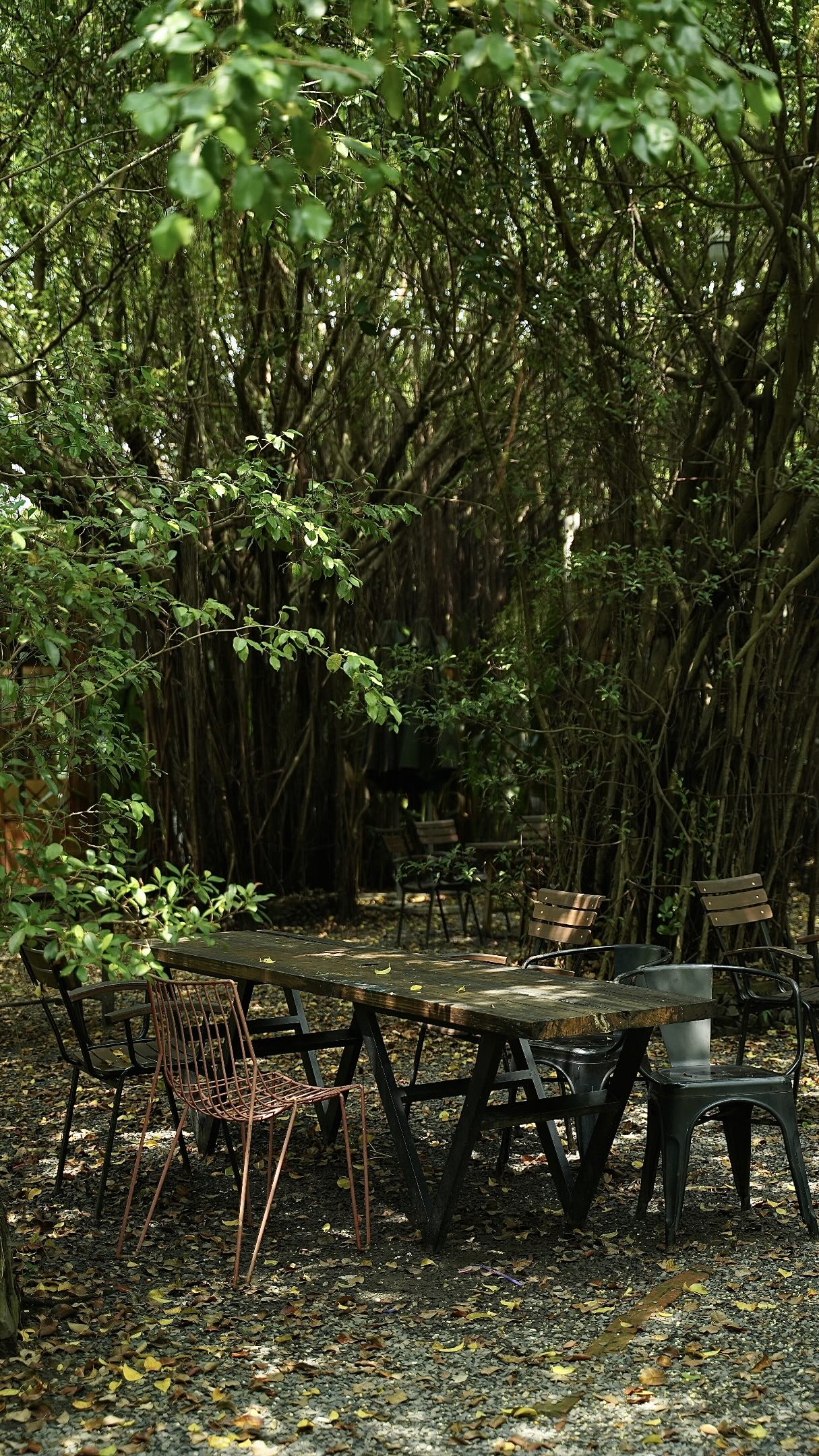 1.000 người chen chúc trong 