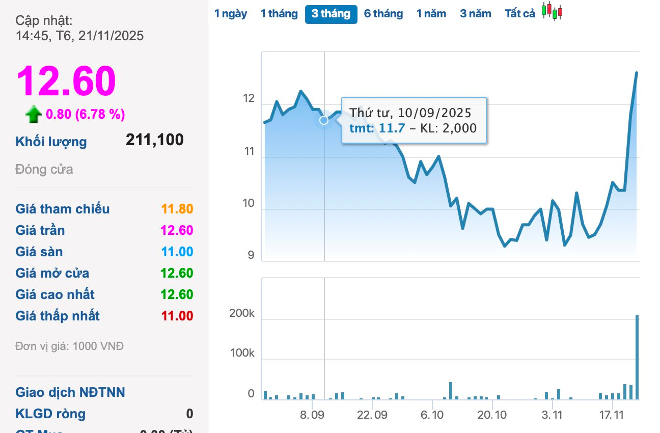 Cổ phiếu công ty bán xe điện "có biến"- Ảnh 1.