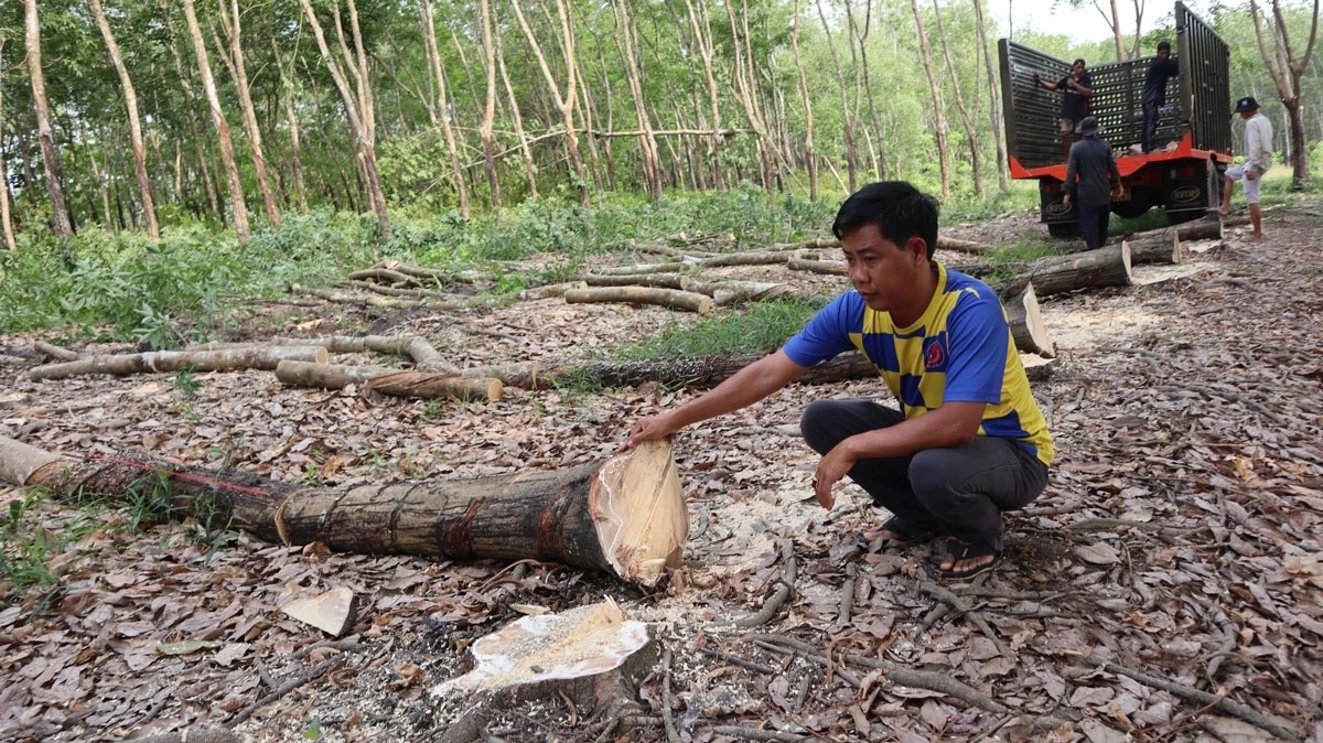 Hơn 300 tỉ đồng giải phóng mặt bằng làm cao tốc TP HCM - Thủ Dầu Một - Chơn Thành qua Đồng Nai- Ảnh 1. Hơn 300 tỉ đồng giải phóng mặt bằng làm cao tốc TP HCM - Thủ Dầu Một - Chơn Thành qua Đồng Nai- Ảnh 1.
