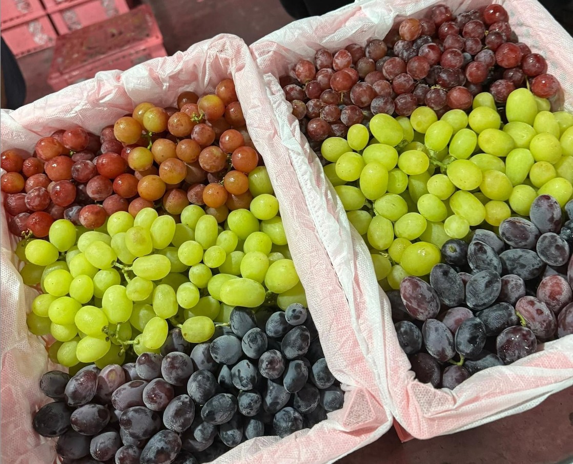 Cảnh báo 4 loại trái cây dễ bị phun thuốc trừ sâu, đi chợ bạn đừng mua vội vàng- Ảnh 1.