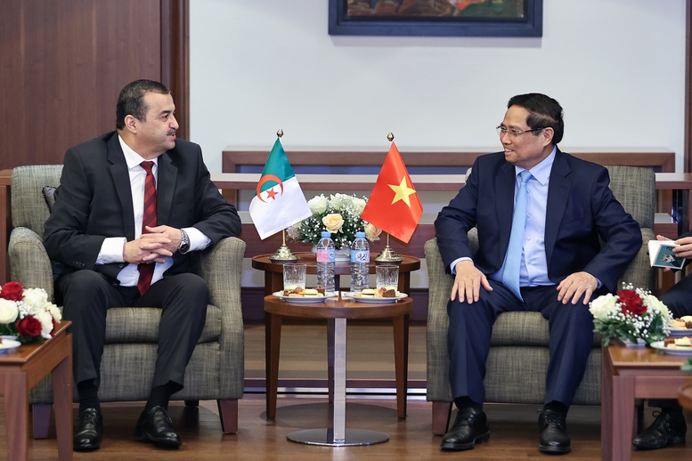Thủ tướng đề nghị Bộ Dầu khí và Mỏ Algeria thúc đẩy các dự án cụ thể với Việt Nam- Ảnh 2.