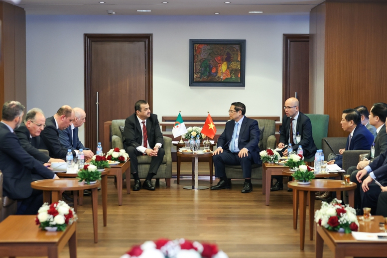 Thủ tướng đề nghị Bộ Dầu khí và Mỏ Algeria thúc đẩy các dự án cụ thể với Việt Nam- Ảnh 3.