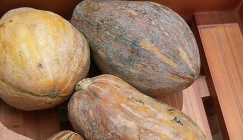 5 loại rau ăn nhiều "phá gan", ngon bổ mấy cũng hạn chế- Ảnh 2.