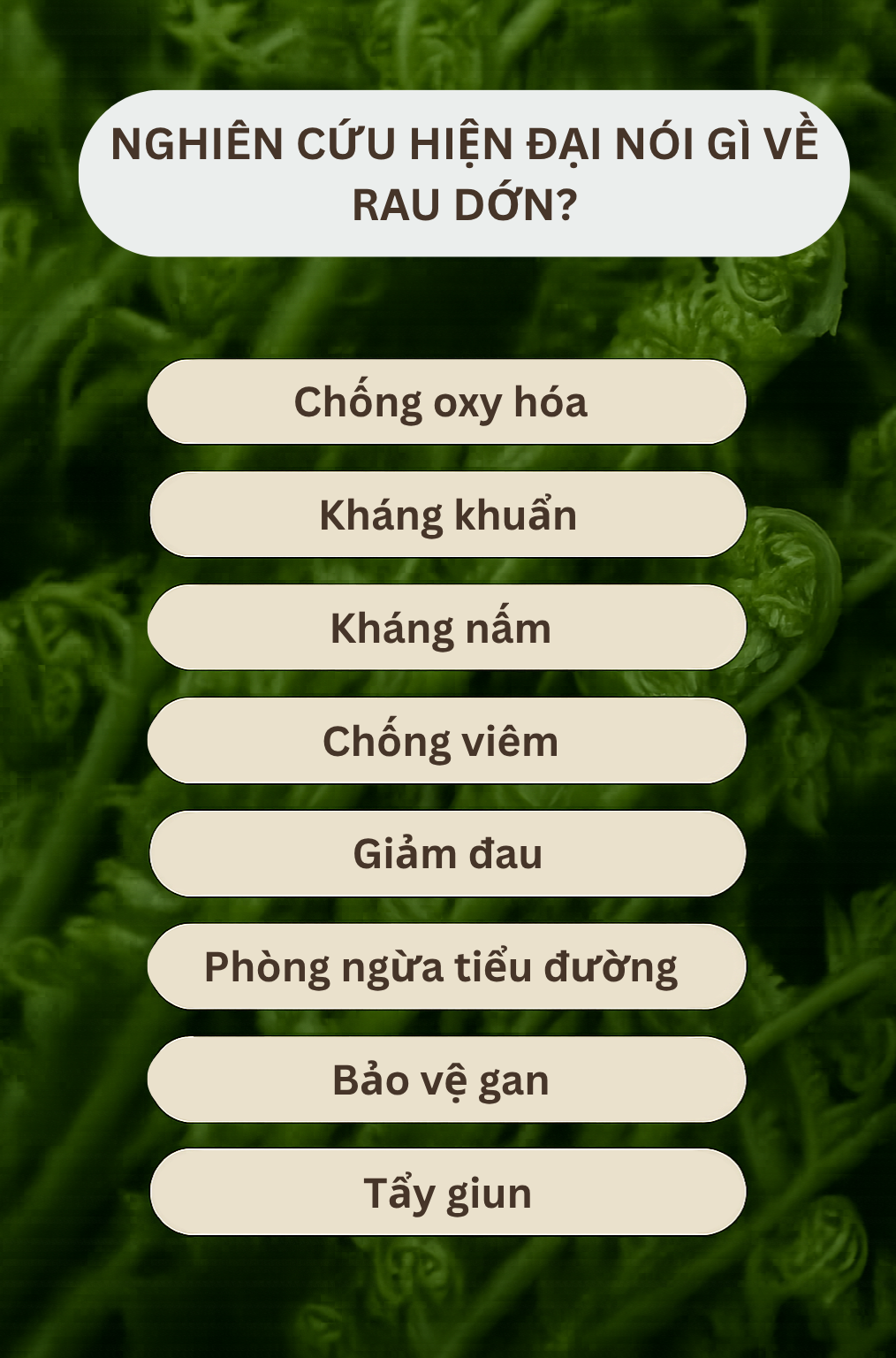 Loại rau tốt như thuốc bổ, người Trung Quốc ví là "rau trường sinh": Mọc dại đầy Việt Nam, ít người biết- Ảnh 2.