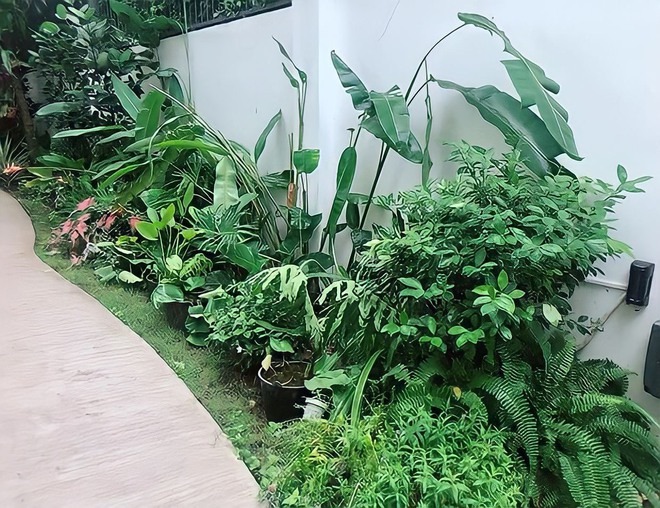 Nghệ sĩ U60 giàu nhất miền Tây, cả nước yêu quý ủng hộ- Ảnh 9.