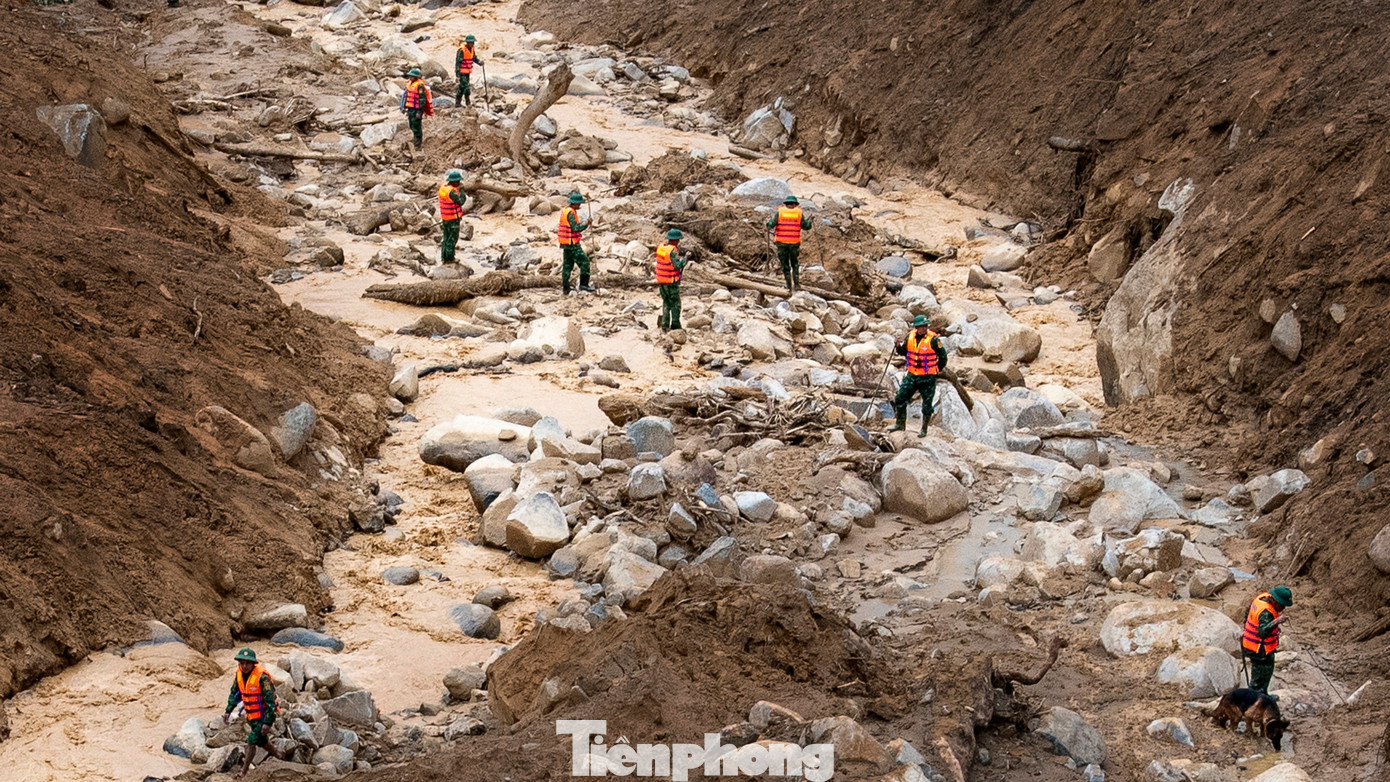 Cận cảnh những chú chó cứu hộ Làng Nủ đang tìm người mất tích ở Đà Nẵng- Ảnh 3.