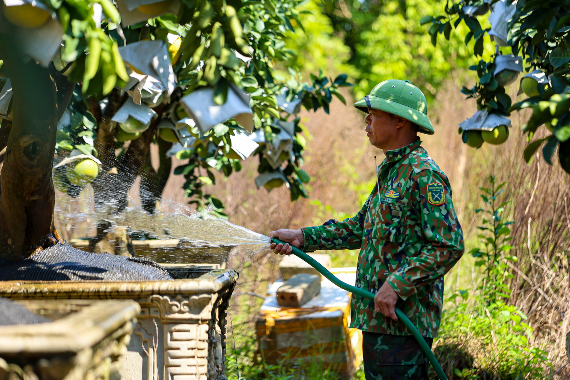 Toàn cảnh khu đất gần các đại dự án của Vinhomes, Ecopark, Sunshine… sắp trở thành “thành phố đại học” của 30.000 sinh viên Bách Khoa- Ảnh 9.