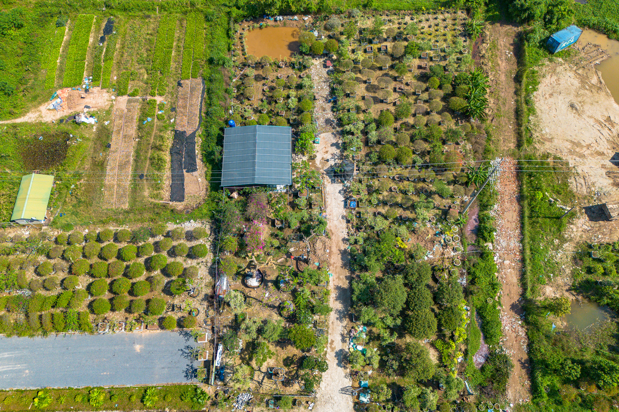 Toàn cảnh khu đất gần các đại dự án của Vinhomes, Ecopark, Sunshine… sắp trở thành “thành phố đại học” của 30.000 sinh viên Bách Khoa- Ảnh 12.