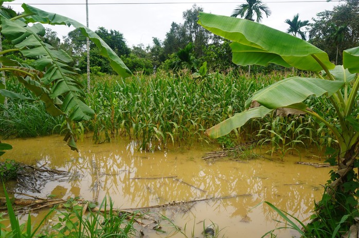 Tiếp tục cảnh báo nguy cơ ngập lụt vùng ven sông Đồng Nai và La Ngà - Ảnh 2.