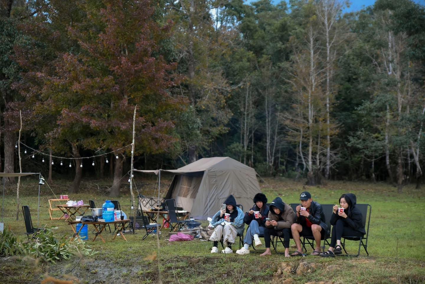 Không phải Hàn Quốc, Nhật Bản, đây là rừng phong ở Việt Nam: Du khách nhận xét 