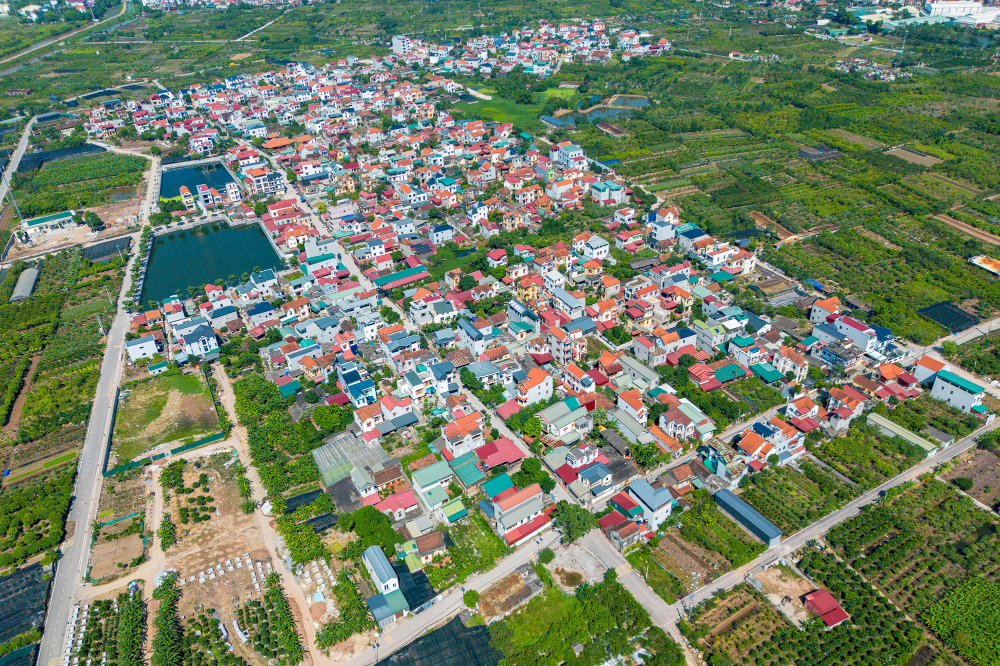 Toàn cảnh khu đất gần các đại dự án của Vinhomes, Ecopark, Sunshine… sắp trở thành “thành phố đại học” của 30.000 sinh viên Bách Khoa- Ảnh 7.