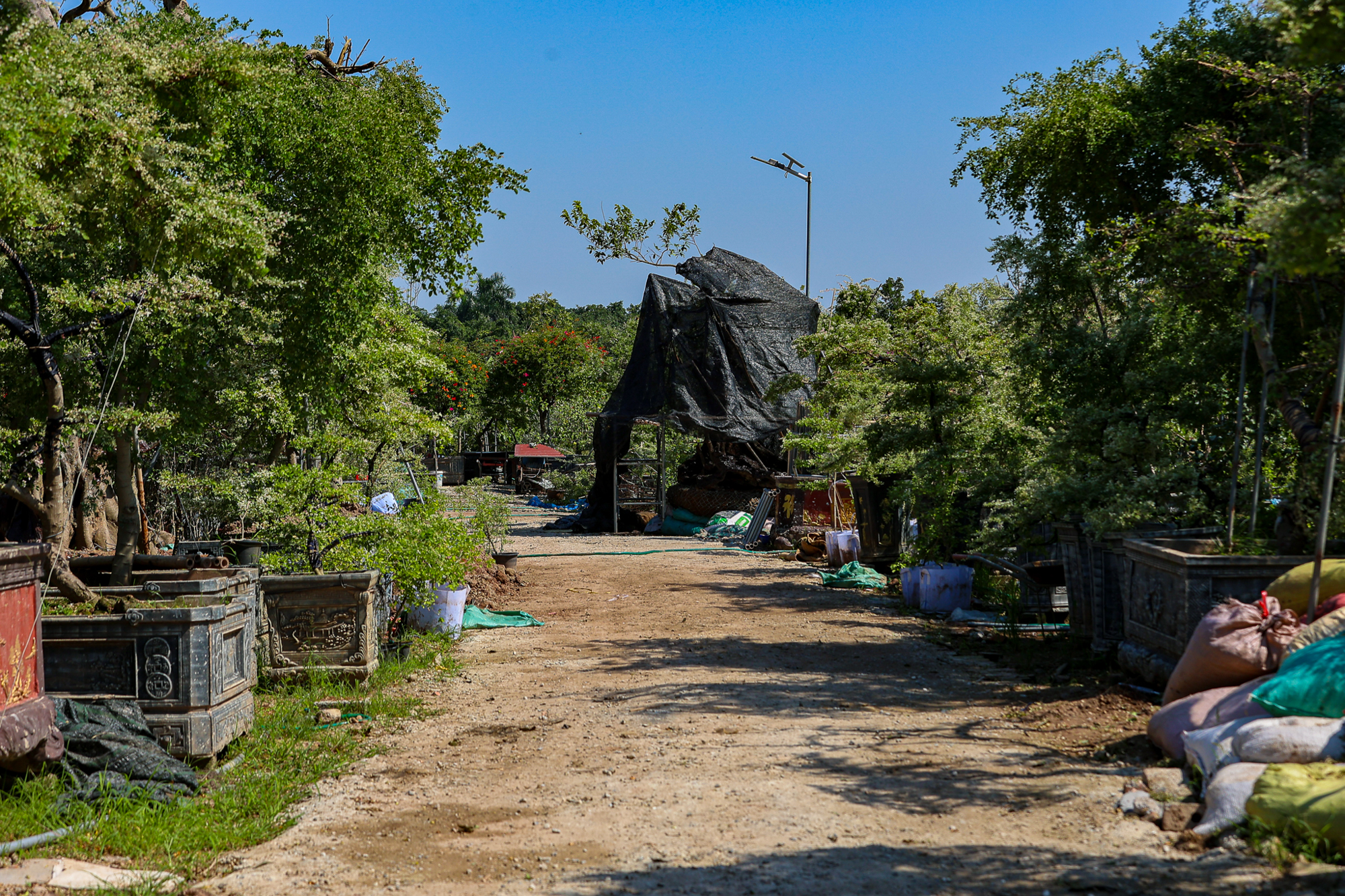 Toàn cảnh khu đất gần các đại dự án của Vinhomes, Ecopark, Sunshine… sắp trở thành “thành phố đại học” của 30.000 sinh viên Bách Khoa- Ảnh 8.