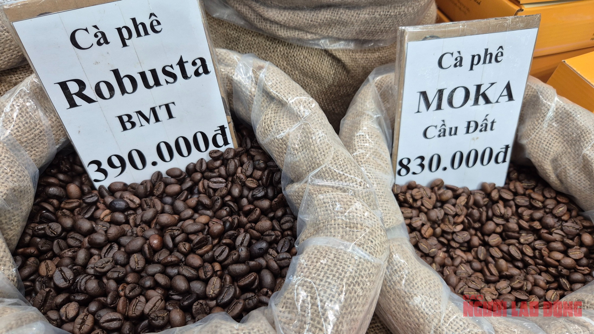 Giá cà phê hôm nay 22-11: Giảm mạnh khi Mỹ xóa thuế cho cà phê Brazil- Ảnh 1.