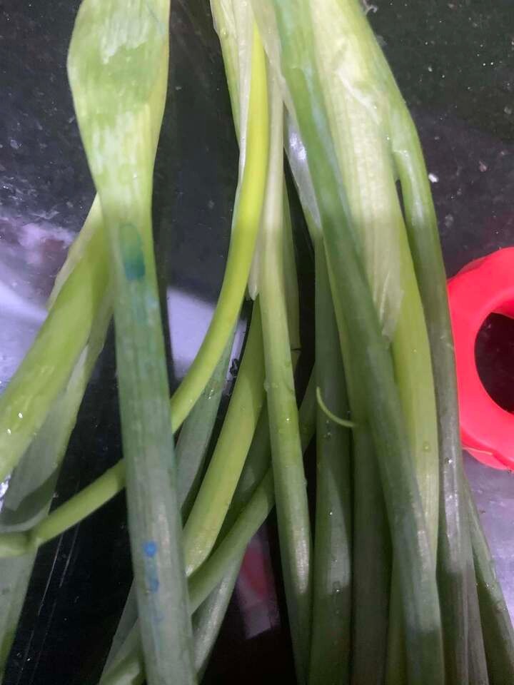 Mua rau, cứ học thuộc mẹo này là biết rau trồng tự nhiên hay rau phun thuốc kích thích- Ảnh 1. Mua rau, cứ học thuộc mẹo này là biết rau trồng tự nhiên hay rau phun thuốc kích thích- Ảnh 1.