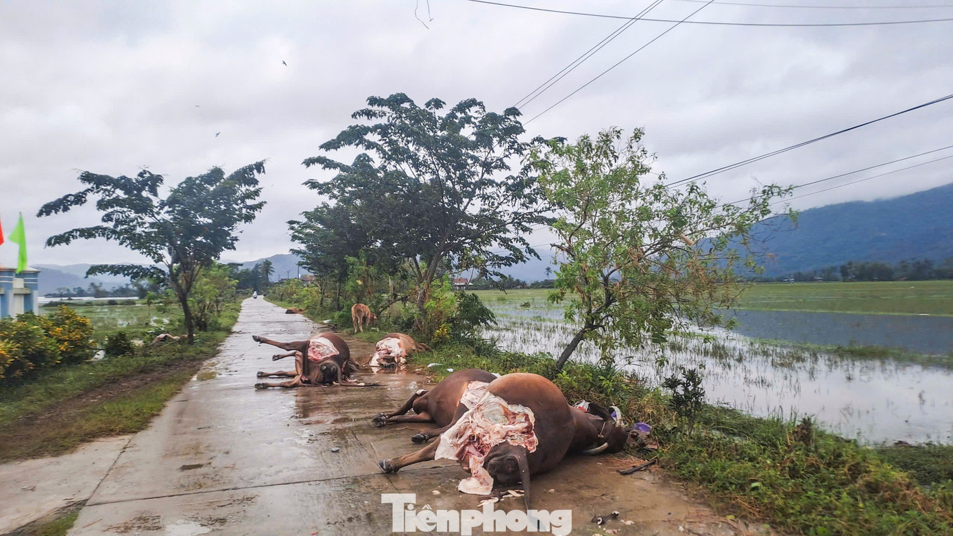 Khung cảnh tan hoang ‘rốn lũ’ Hòa Thịnh- Ảnh 7.