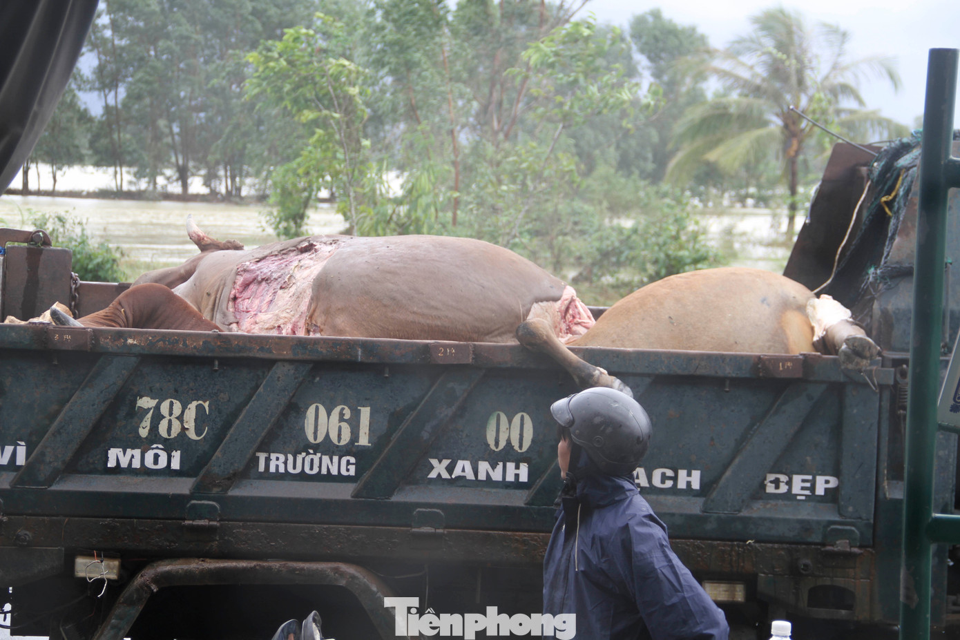 Khung cảnh tan hoang ‘rốn lũ’ Hòa Thịnh- Ảnh 8.