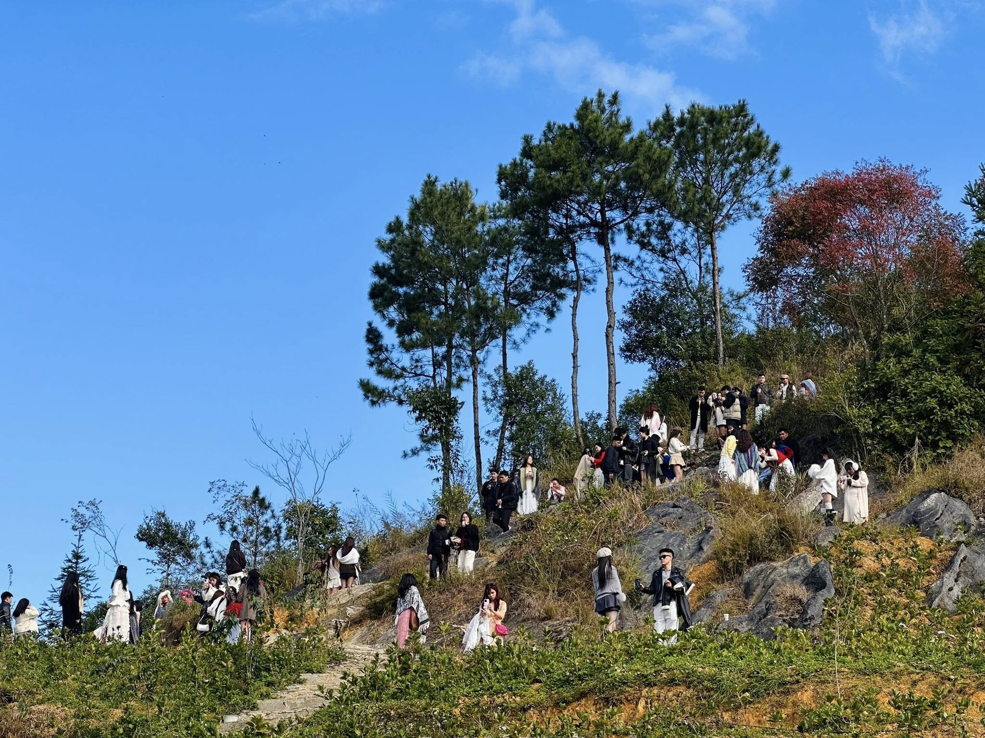 Tuyên Quang đông như Tết, khách lên Lô Lô Chải 