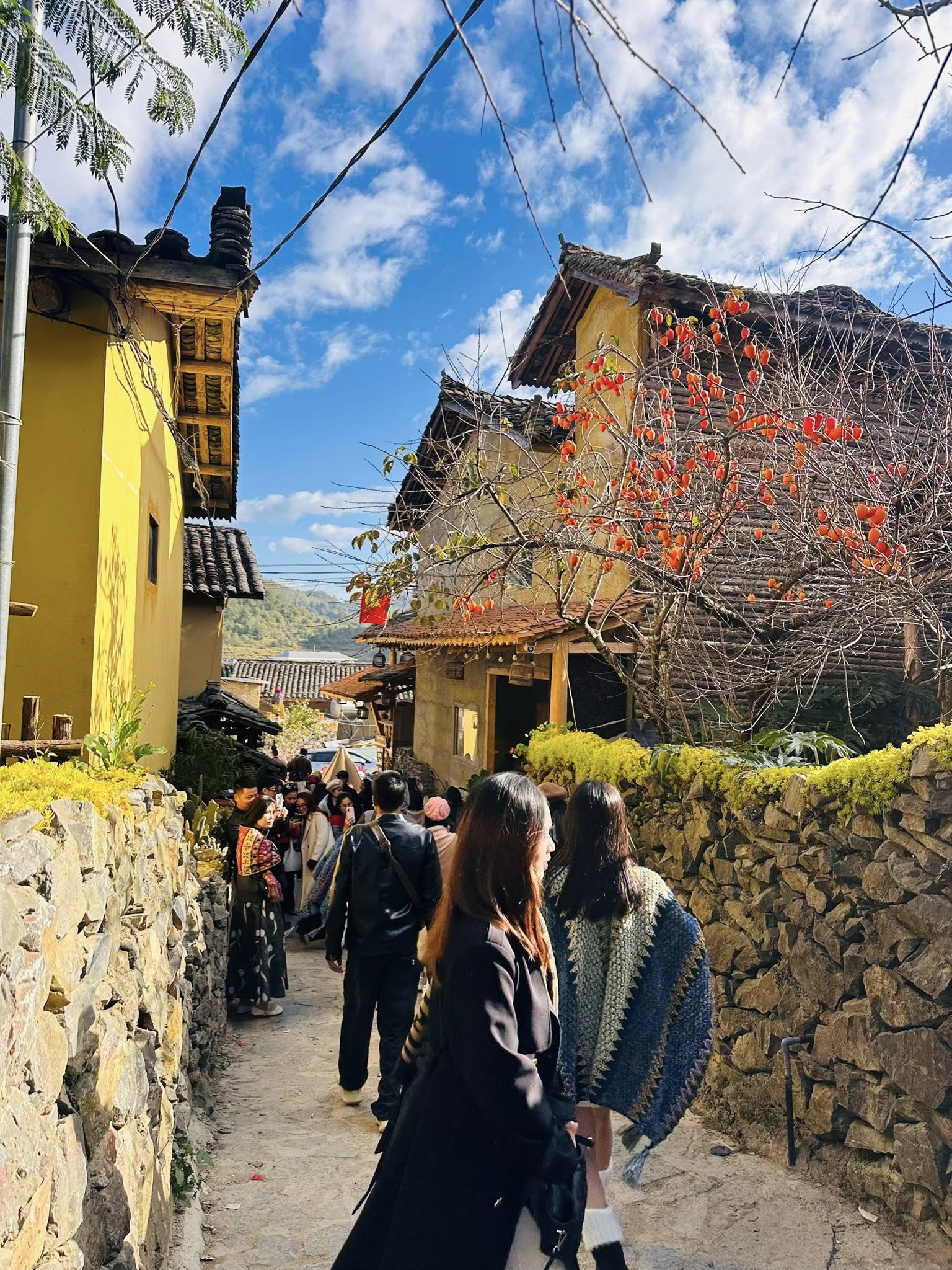 Tuyên Quang đông như Tết, khách lên Lô Lô Chải 