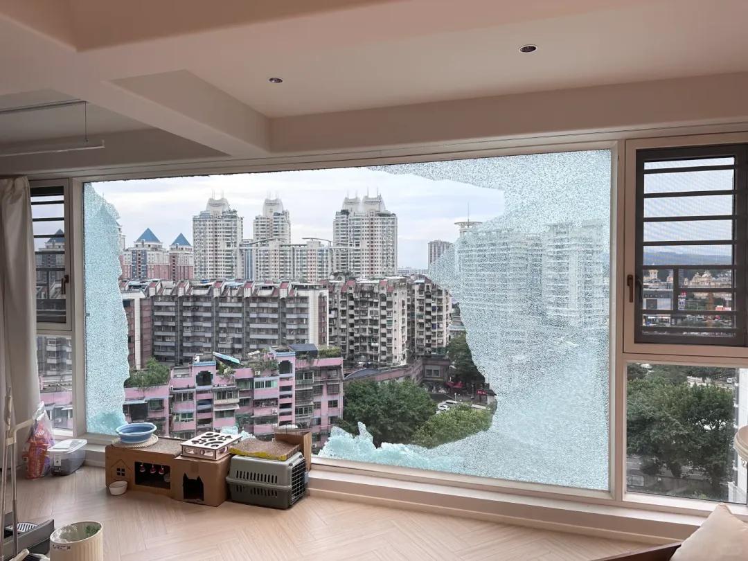 Chồng tôi nhất quyết đóng kín ban công bằng cửa kính, sau 6 tháng tôi hối hận đến mức muốn phá bỏ ngay lập tức- Ảnh 3.