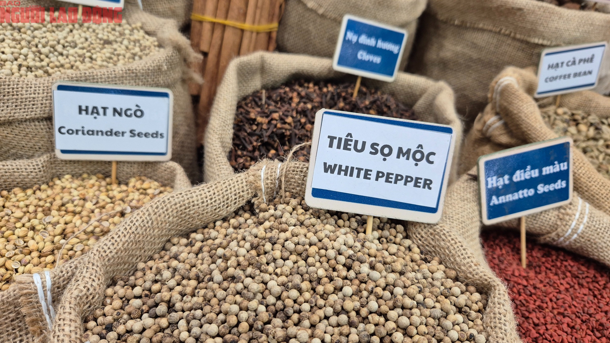 5 ngành hàng tỉ đô kiến nghị Quốc hội gỡ khó- Ảnh 1.