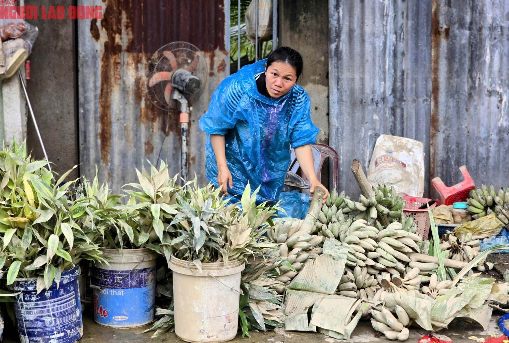 Người dân Nha Trang tất bật dọn "núi" rác thải sau lũ lịch sử- Ảnh 7.