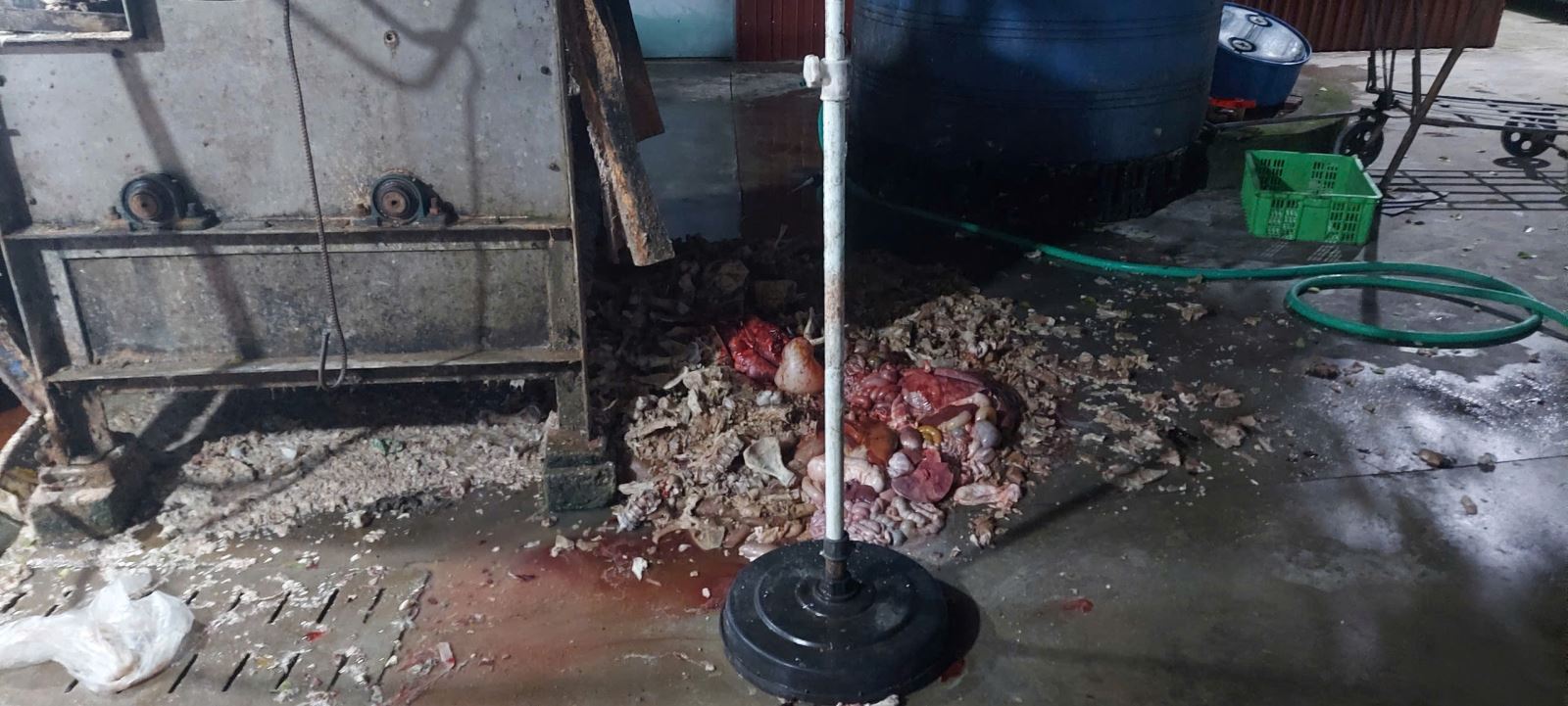 Khởi tố 2 vợ chồng Nguyễn Thị Hồng Huệ- Ảnh 2.