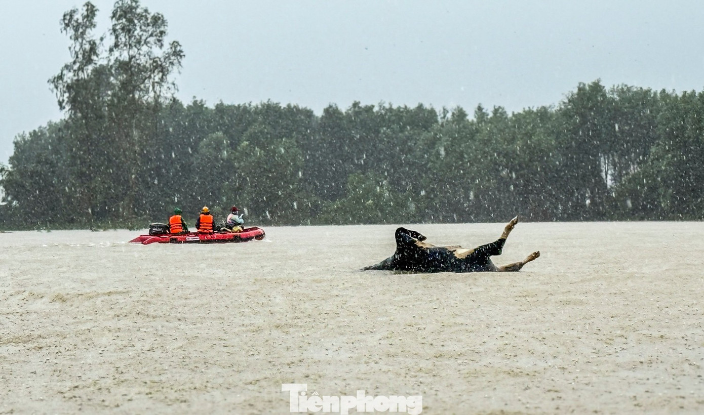102 người chết và mất tích, thiệt hại vượt 9.000 tỉ đồng, mưa lũ tại Trung Bộ còn diễn tiến ra sao?- Ảnh 3.