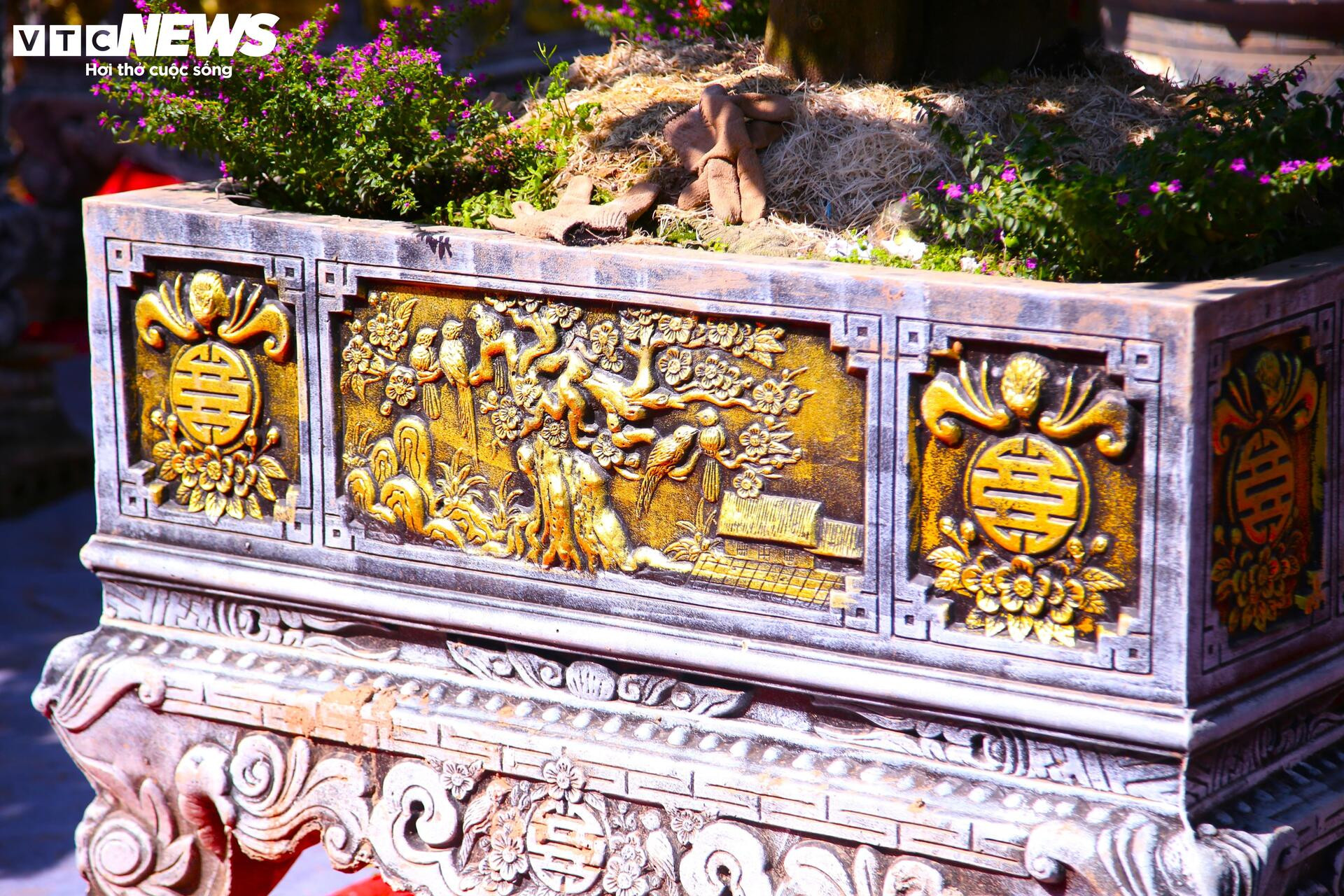 Bưởi Diễn hàng chục triệu đồng sẵn sàng chờ khách 'rước' về chơi Tết- Ảnh 5.